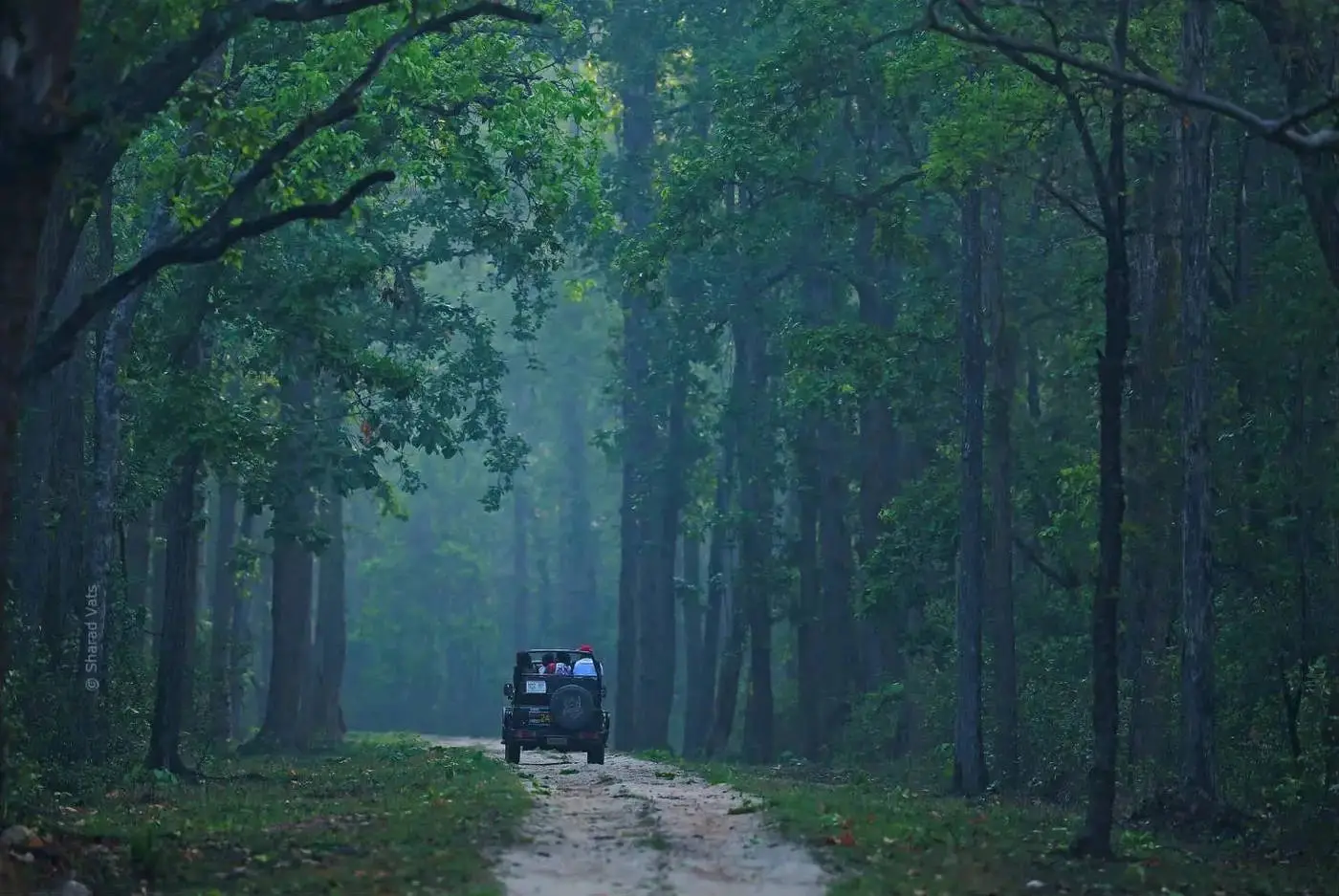 Kanha Weekend Tour Tour gallery image